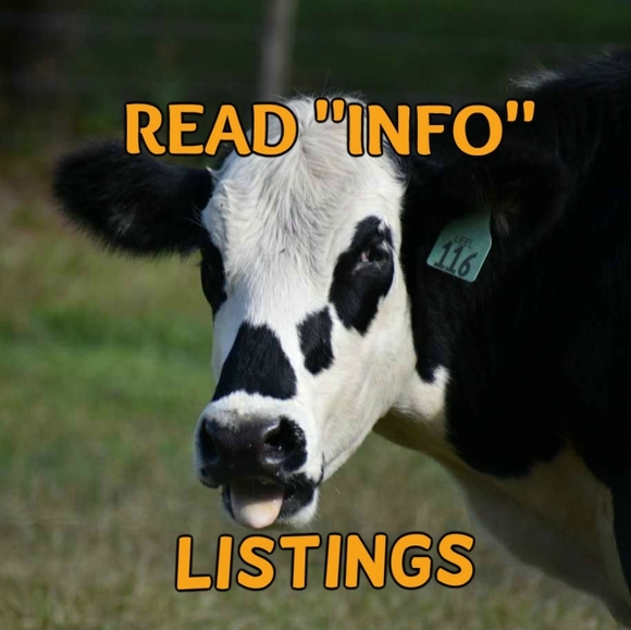 Tips for newbies - Picture 8 of 9